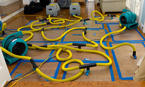 Professional Crawl Space Water Removal technician working in Stem, NC